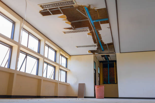 Best Water damage repair service  in Howell, MI