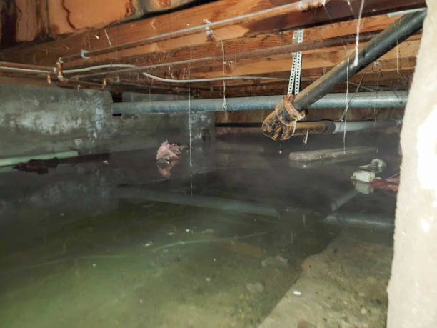 Best Ceiling water damage repair  in Howell, MI