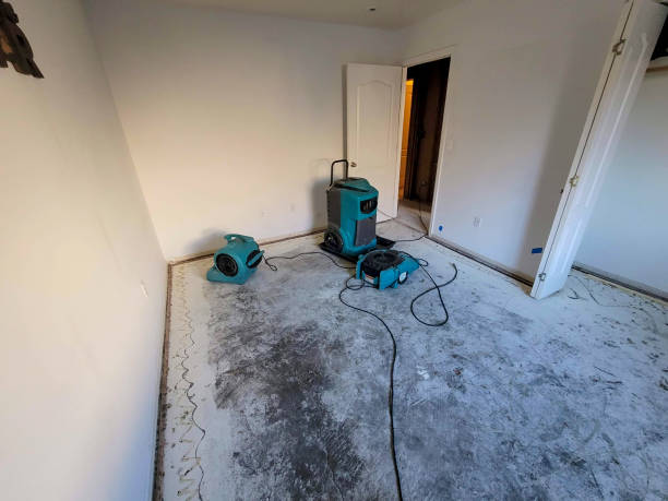 Best Emergency water damage restoration  in Howell, MI