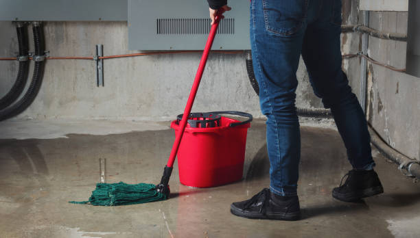 Best Water damage cleanup near me  in Howell, MI