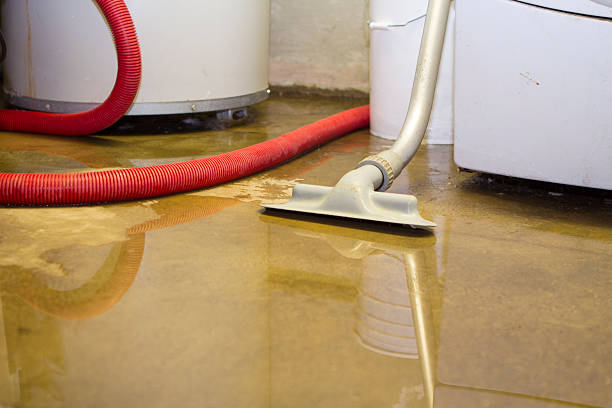 Best Commercial water damage restoration  in Howell, MI