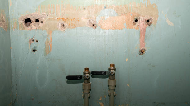Best Professional water damage repair  in Howell, MI
